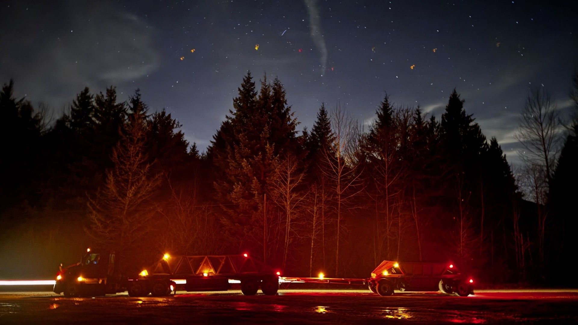 A row of cars are parked in front of a forest at night.