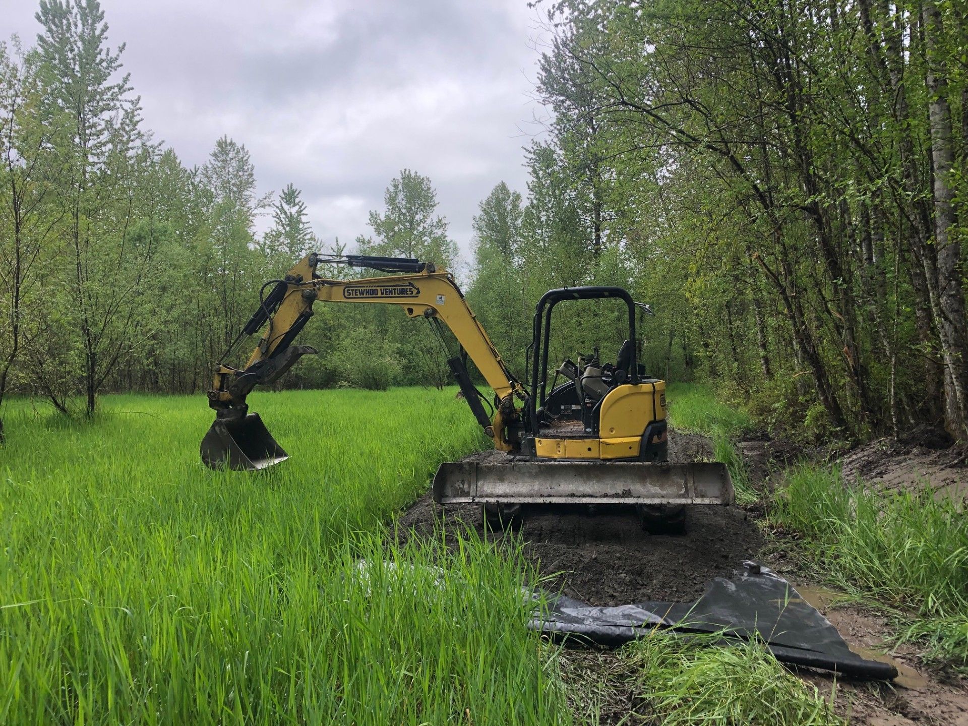 A yellow excavator is driving through a grassy field.