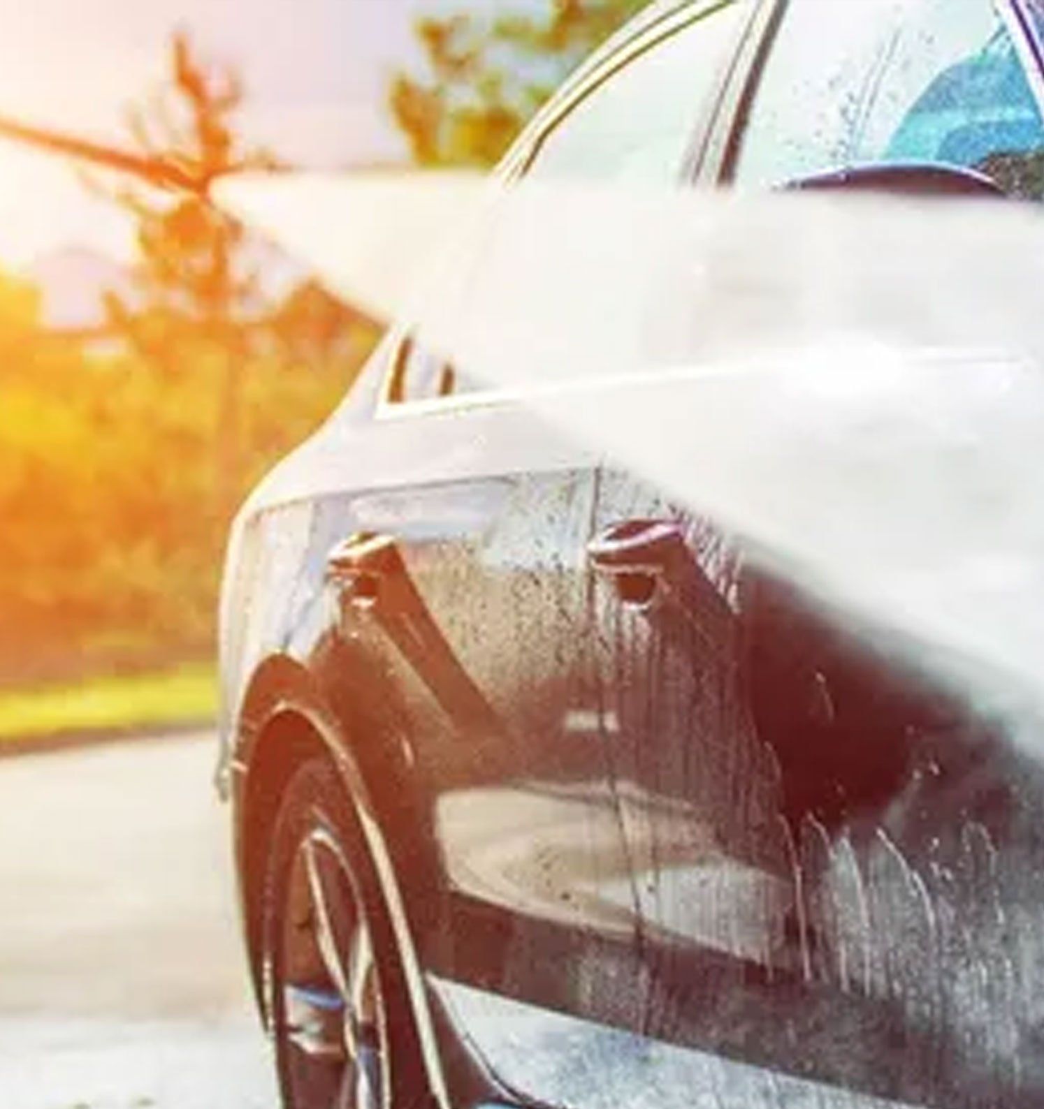 Spotless Car Dealership Wash