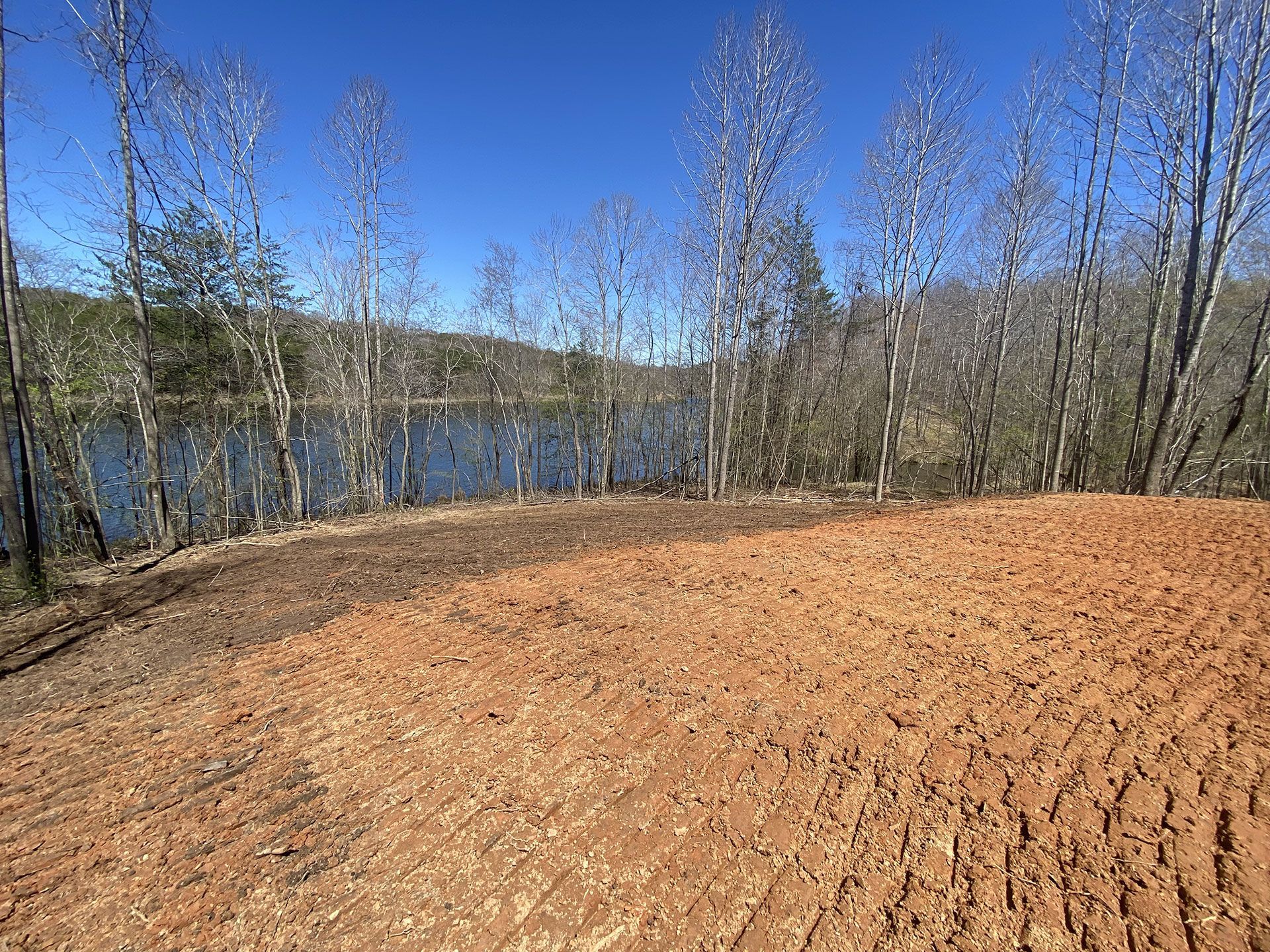 Dry dirt clearing beside a lake with bare trees under a clear blue sky