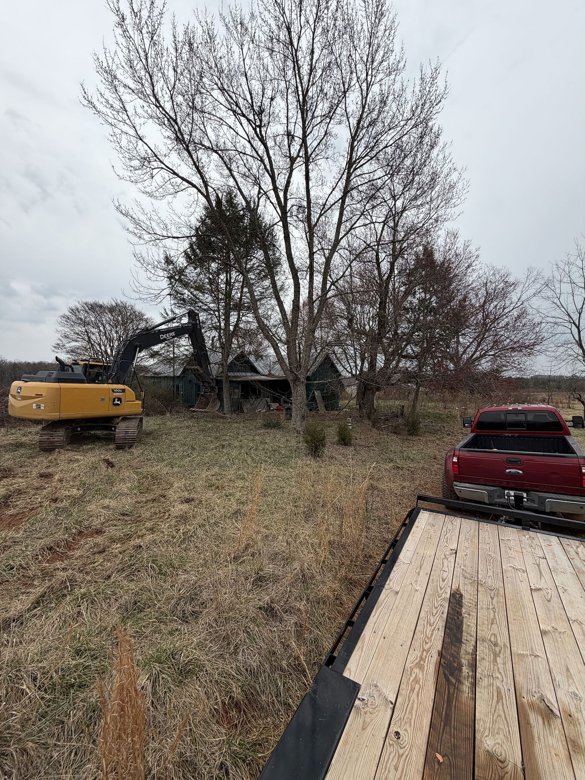Leaf-covered yard with bare trees, a yellow trailer, and a red truck bed in the foreground.