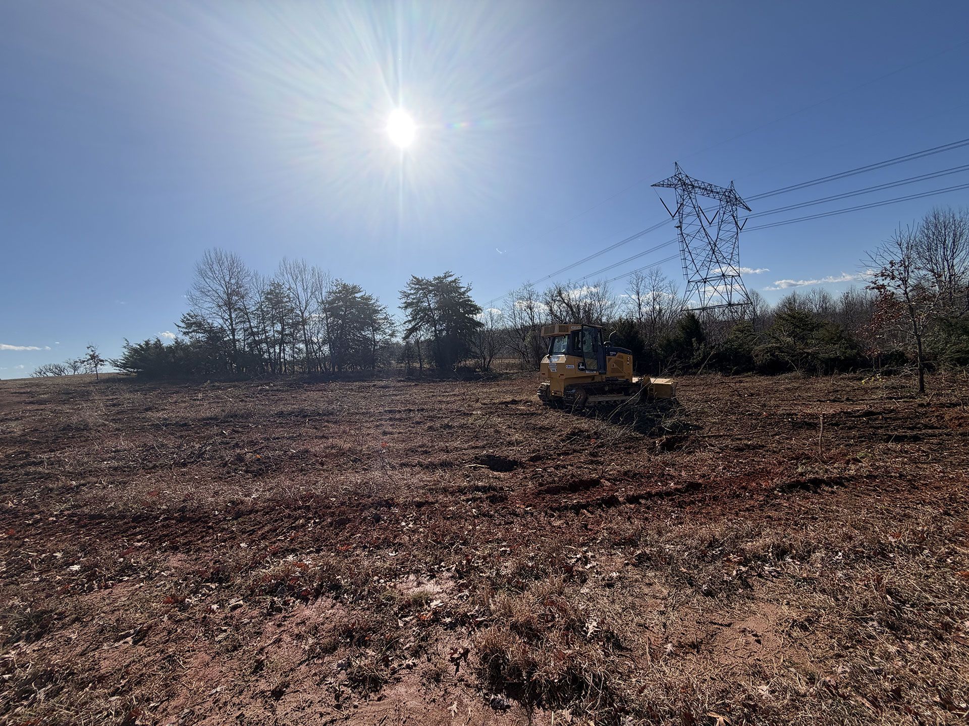 Sunlit dry field with sparse trees and power lines under a clear blue sky