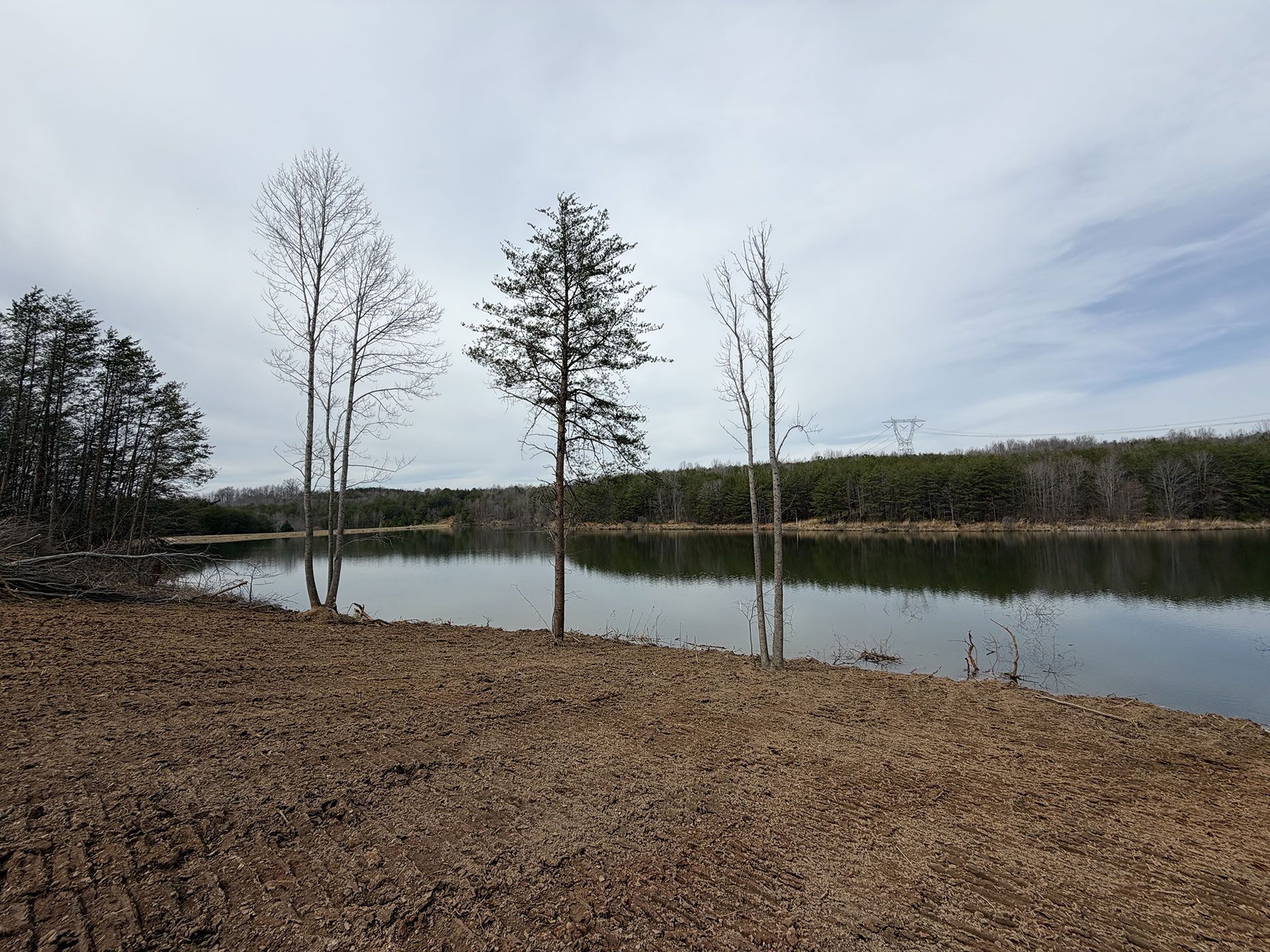 Calm lakeside scene with bare trees, brown shoreline, and cloudy sky