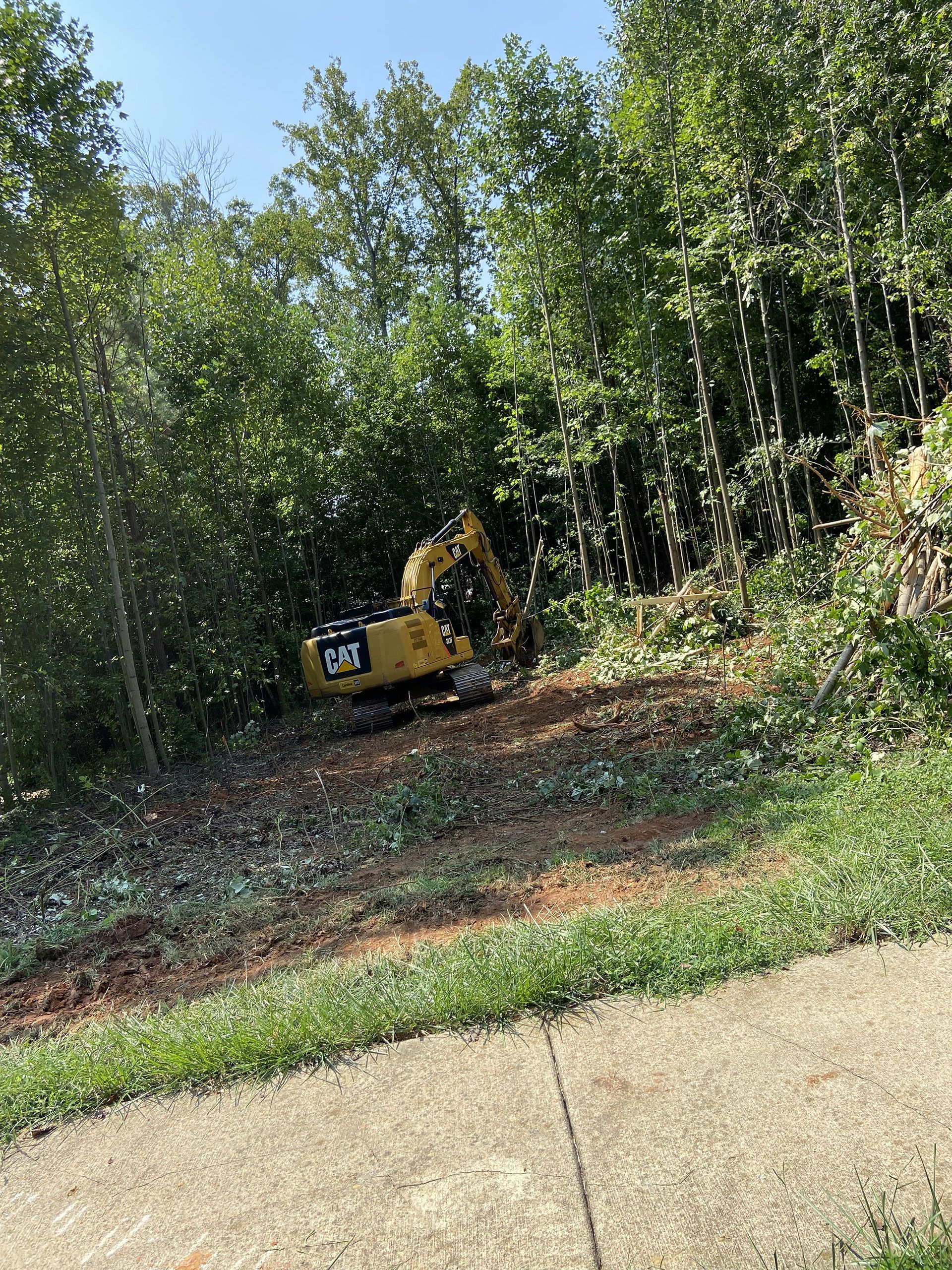Yellow excavator clearing a wooded hillside beside a paved road