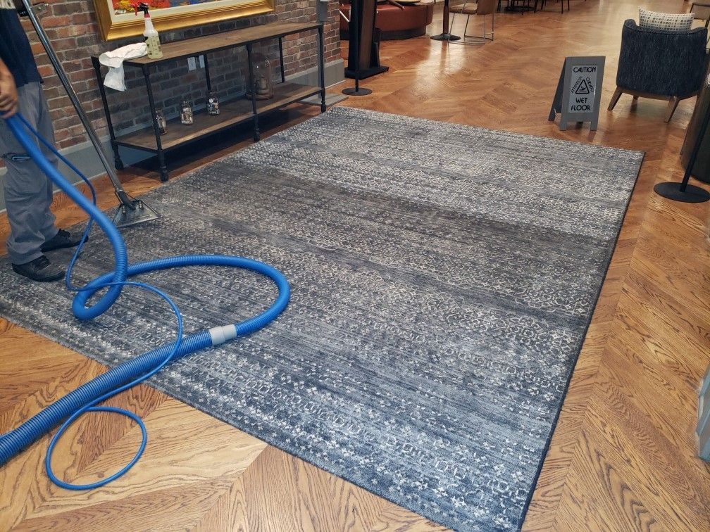 A person is cleaning a rug with a vacuum cleaner.