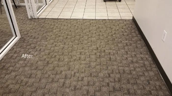 A room with a carpeted floor and a tiled floor