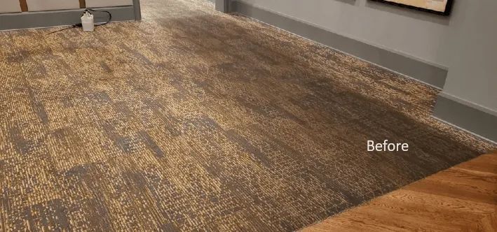 A dog is laying on a dirty carpet in a room