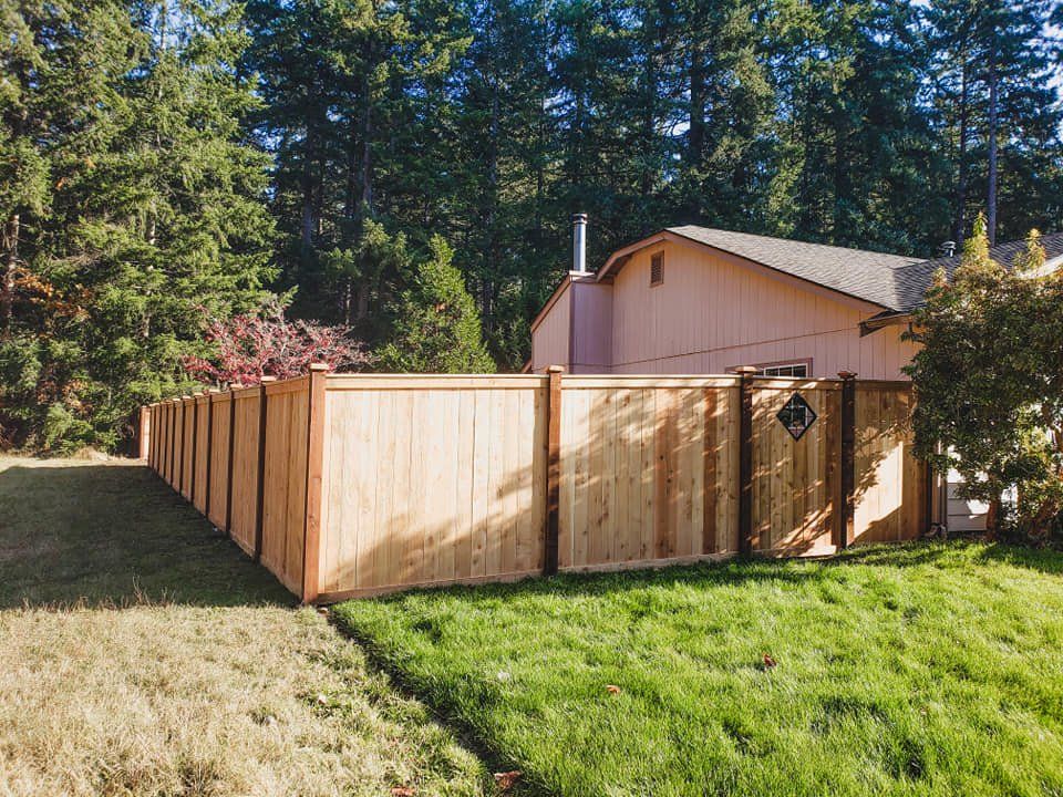 Cedar Fencing