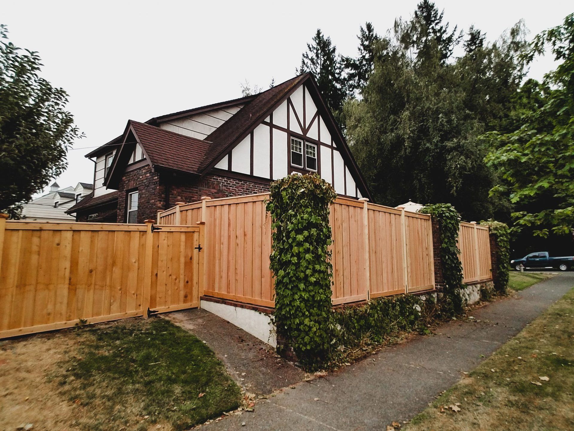 Cedar Fencing