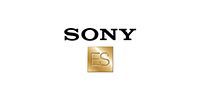 Sony ES