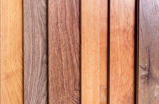 Variety of wood texture