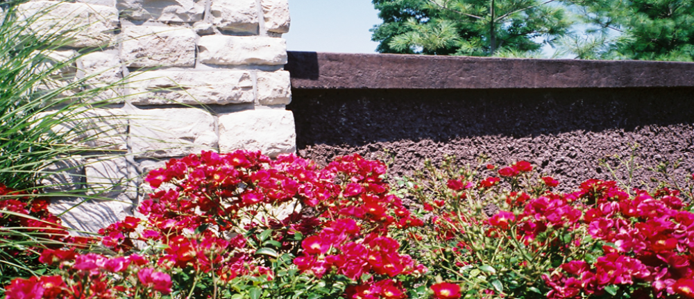 Stonewalls