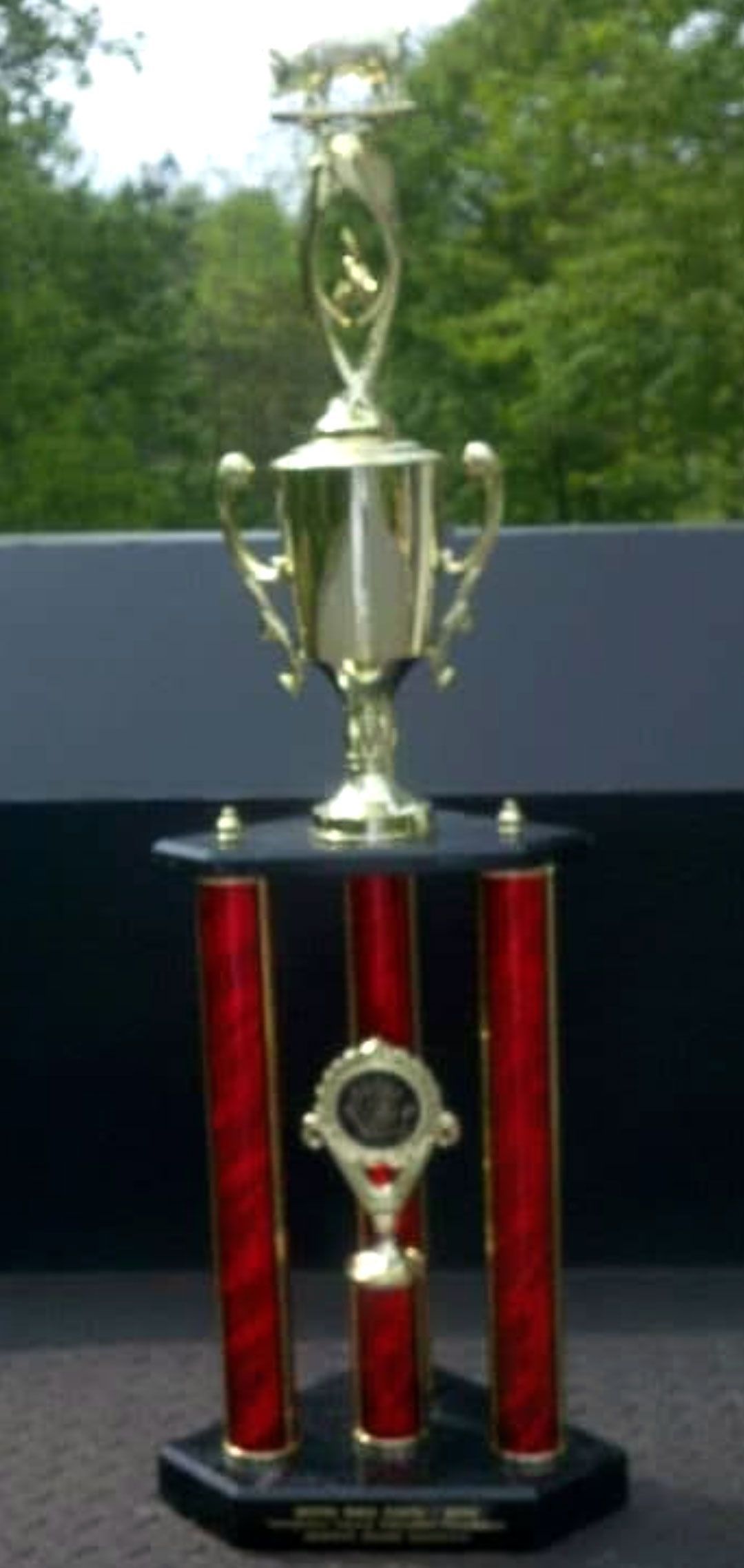Gold trophy with a red and black base, set outside with trees in the background.