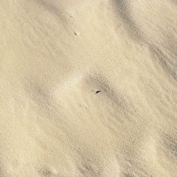 A close up of a pile of sand on a beach.