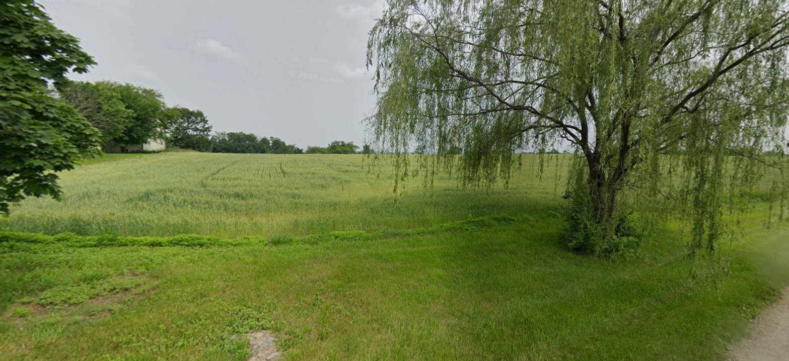 Grassy meadow with a tree and small pond under an overcast sky