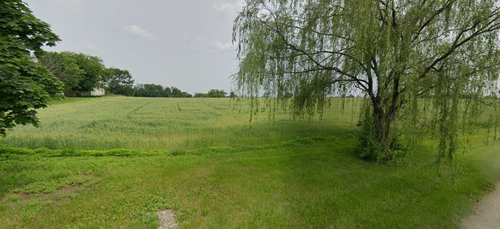 Grassy meadow with a tree and small pond under an overcast sky
