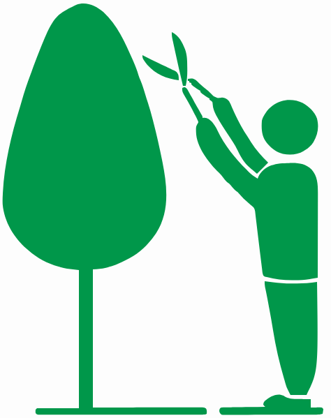 Zeiset Tree Service