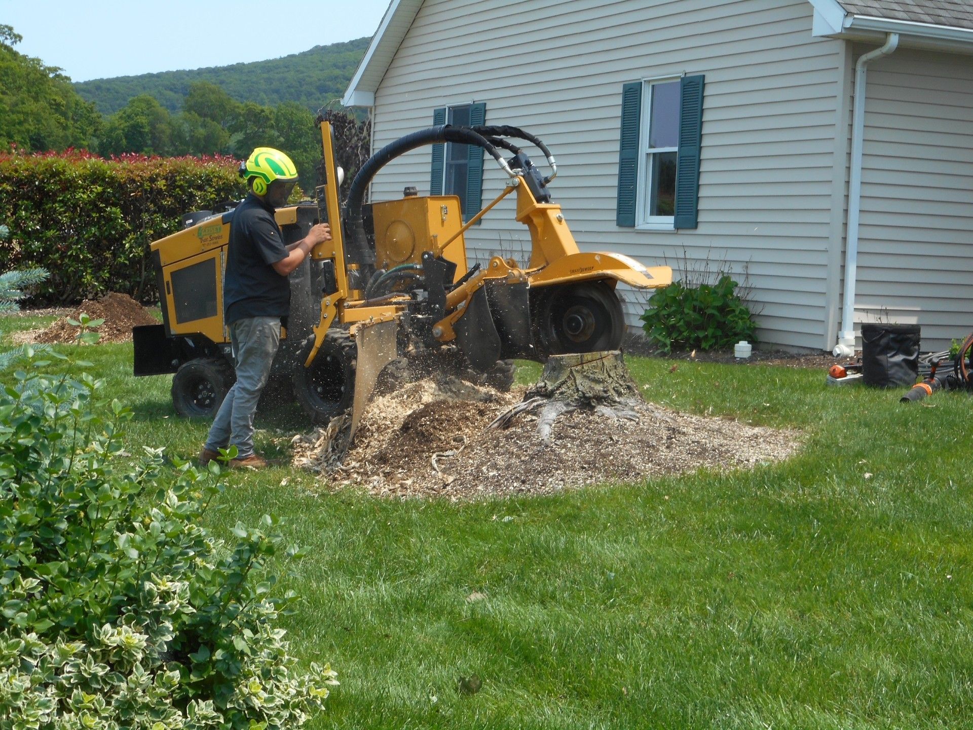 A person grinding stump a stump with a large stump grinder.