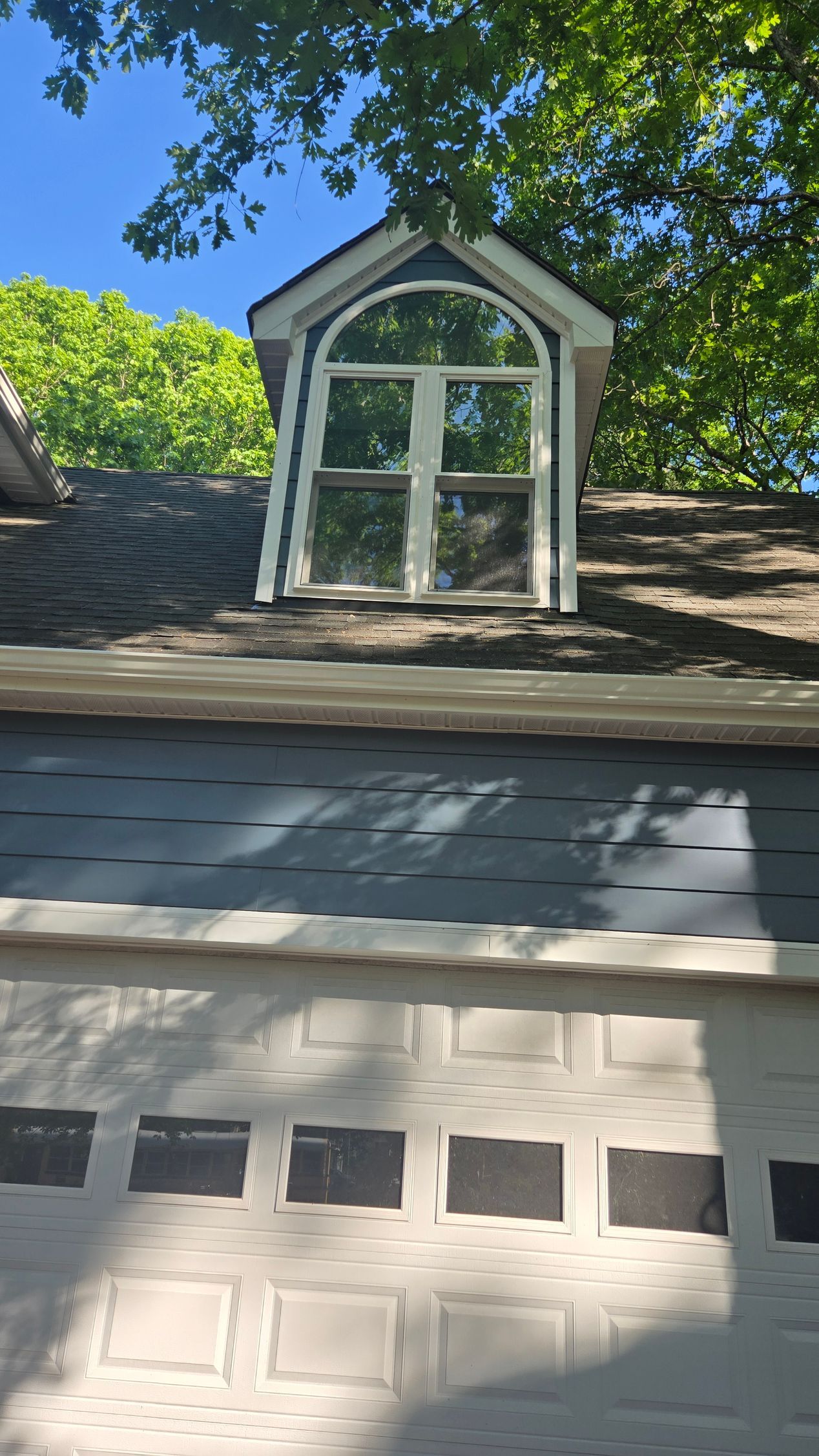 Dormer window on a shingled roof beneath green tree branches in bright daylight