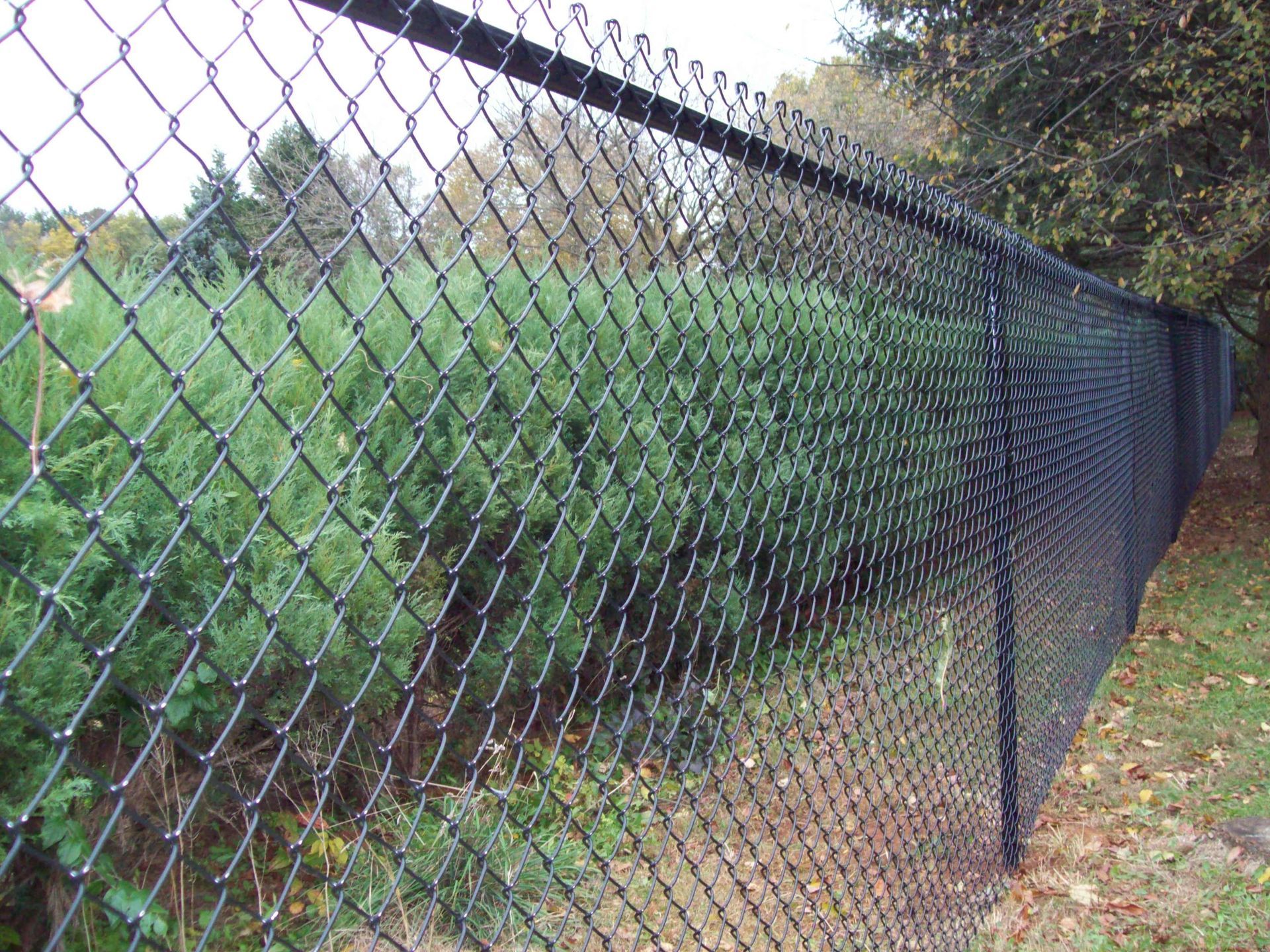 Chain-link fencing