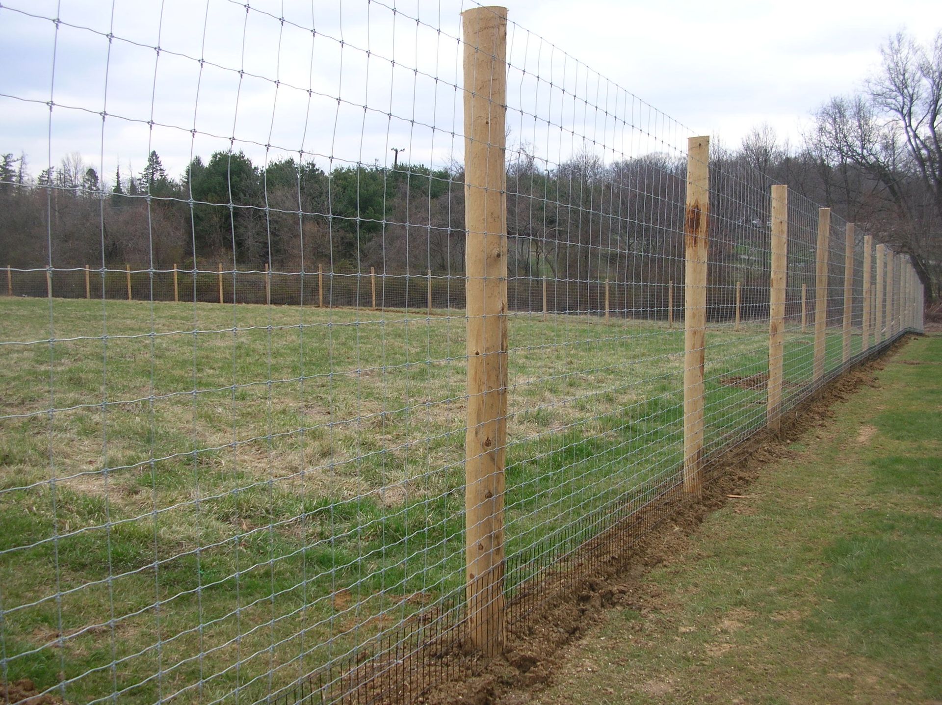 A close up of a wire fence against a wooden wall.