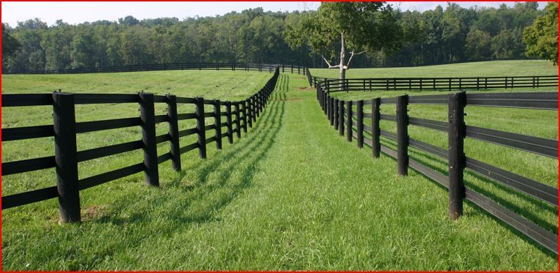A fence surrounds a grassy field with trees in the background