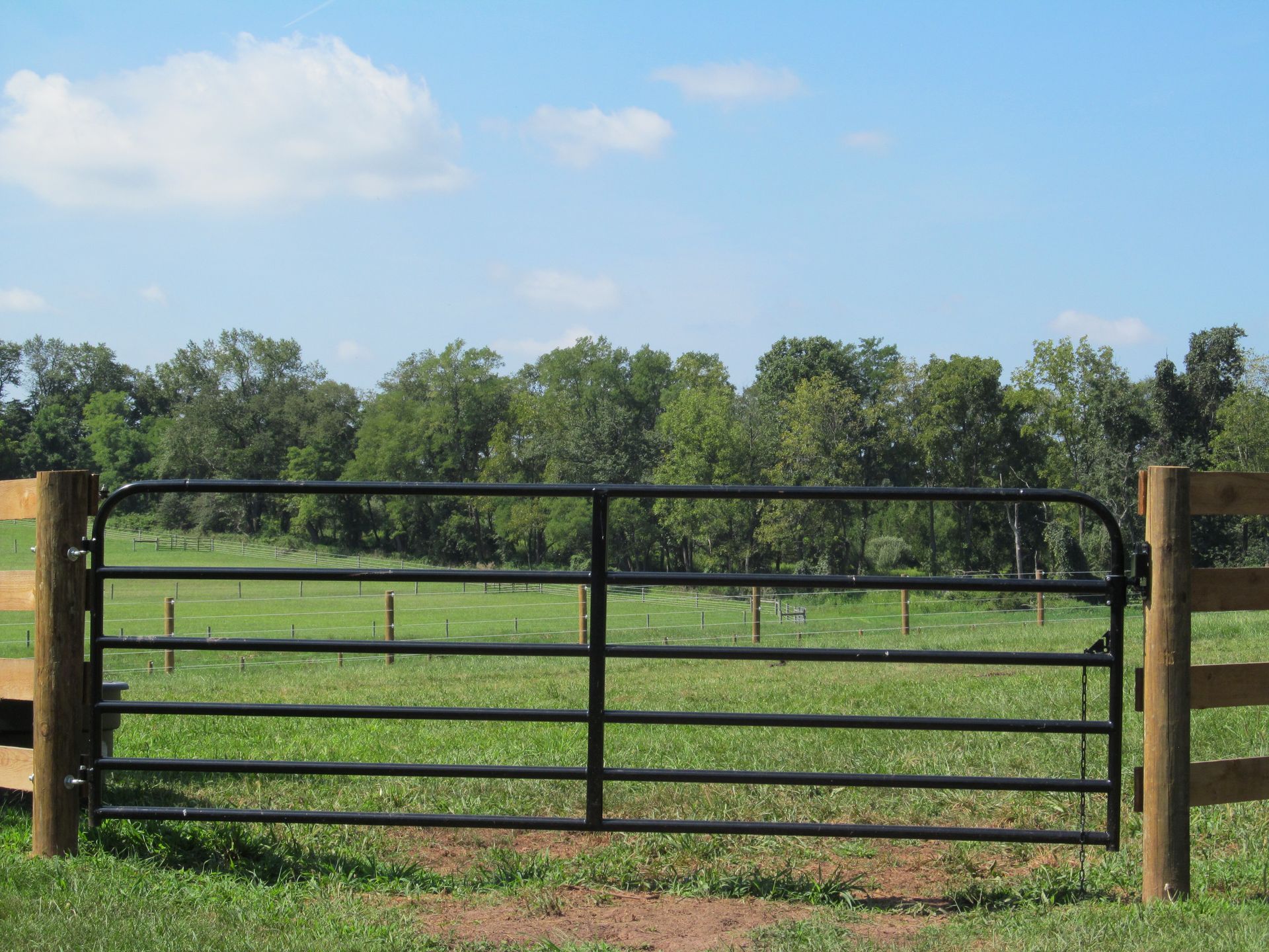A black gate is open to a grassy field with trees in the background