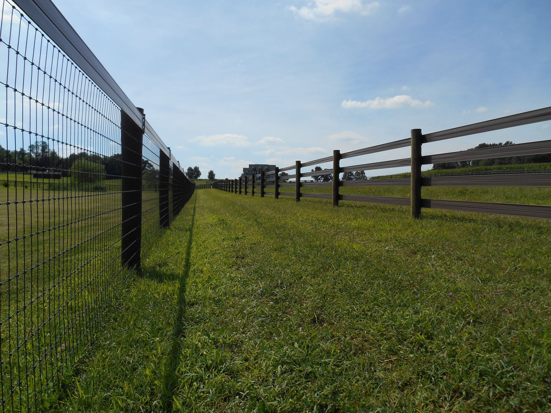 A fence surrounds a grassy field on a sunny day