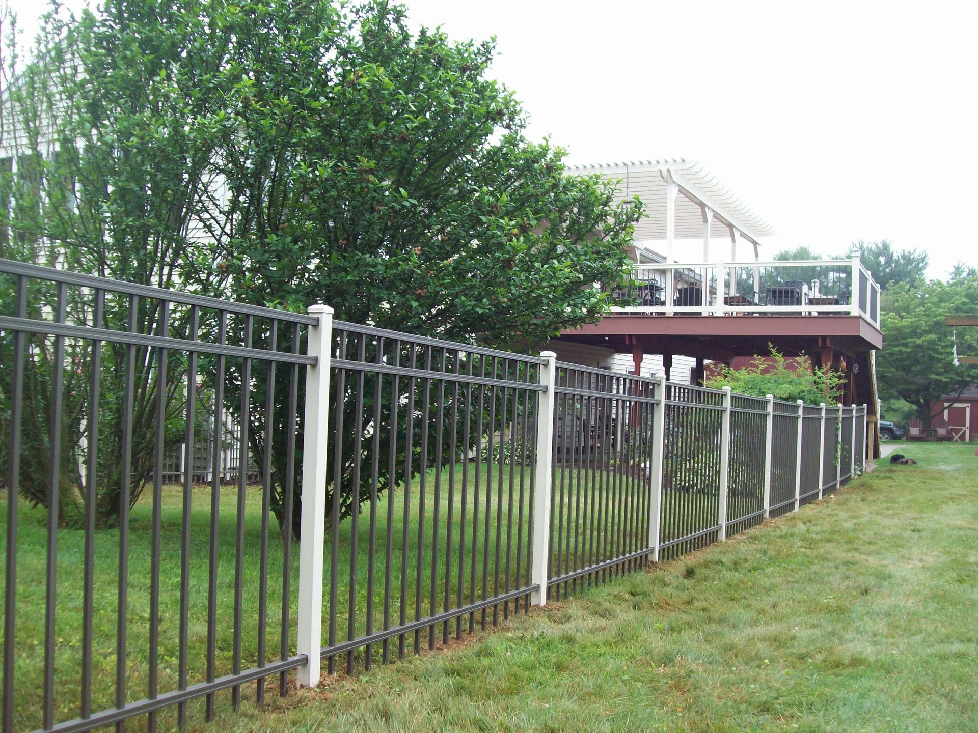 A metal fence surrounds a lush green yard with a house in the background.