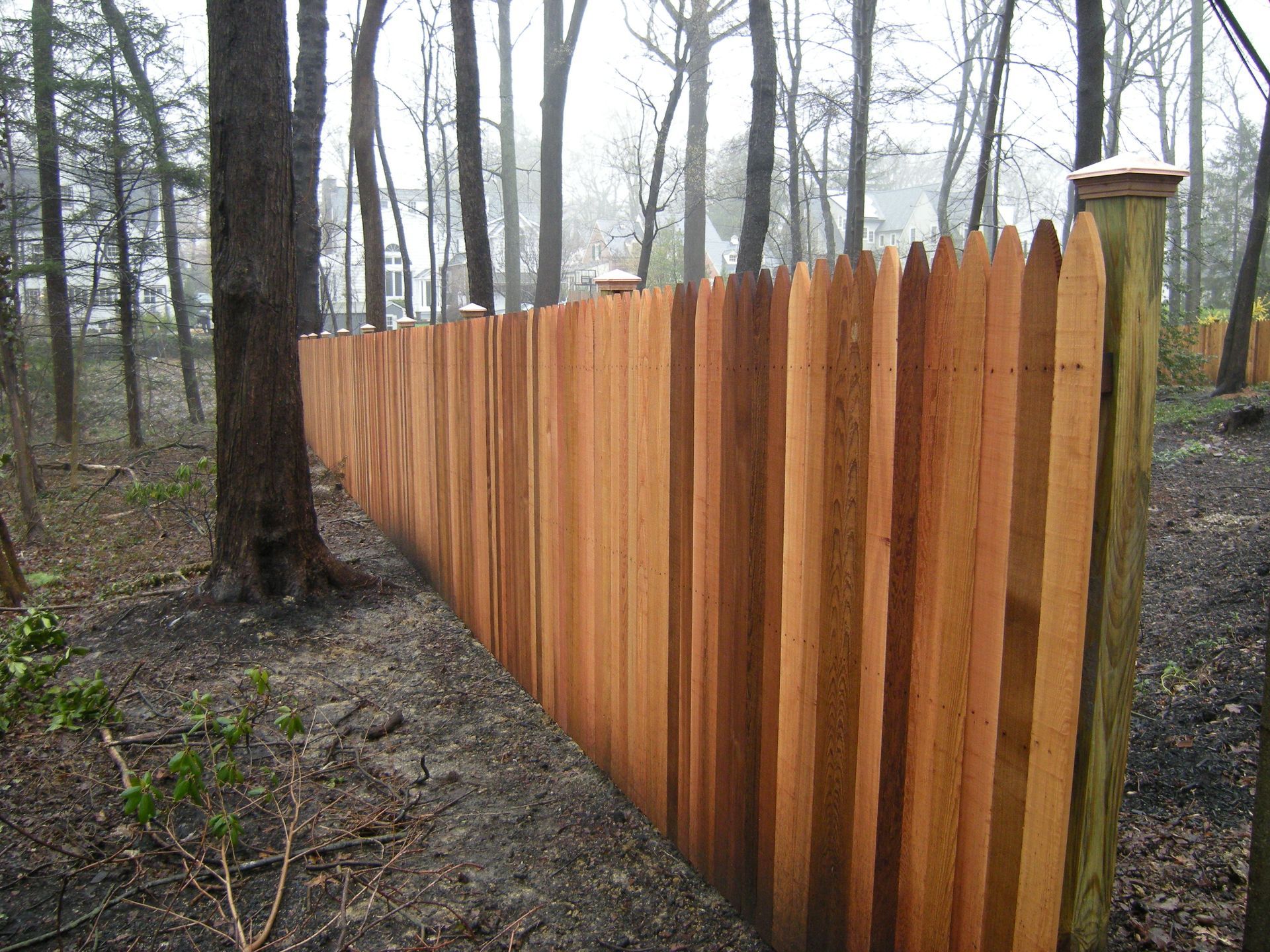 A wooden fence is in the middle of a forest.