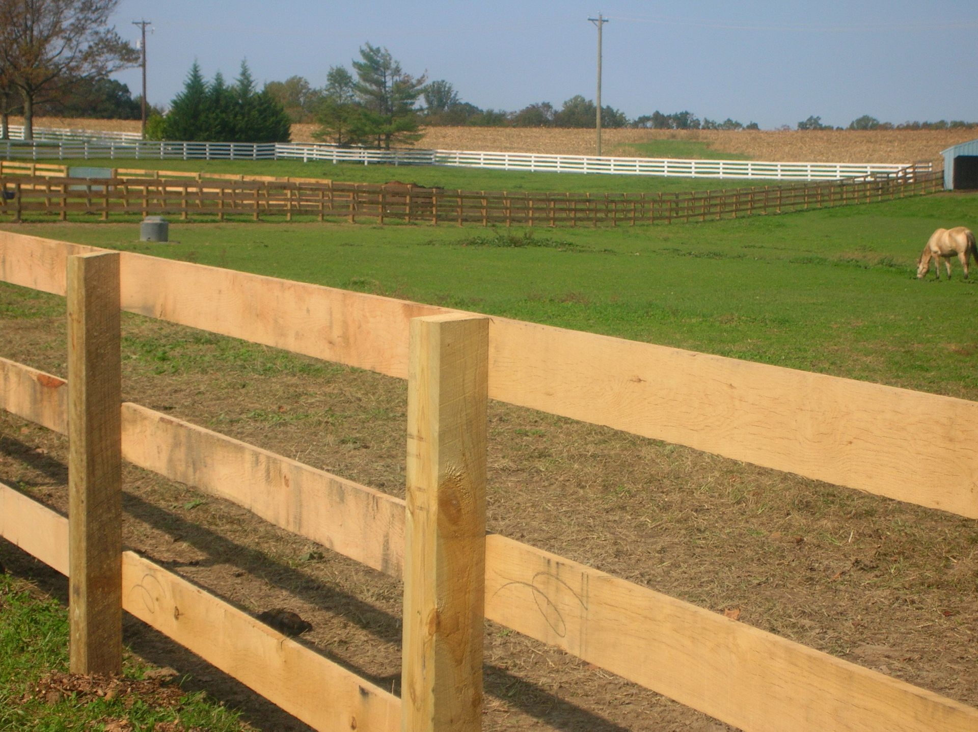 A horse grazing in a field behind a wooden fence