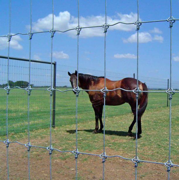 A horse standing in a field behind a barbed wire fence