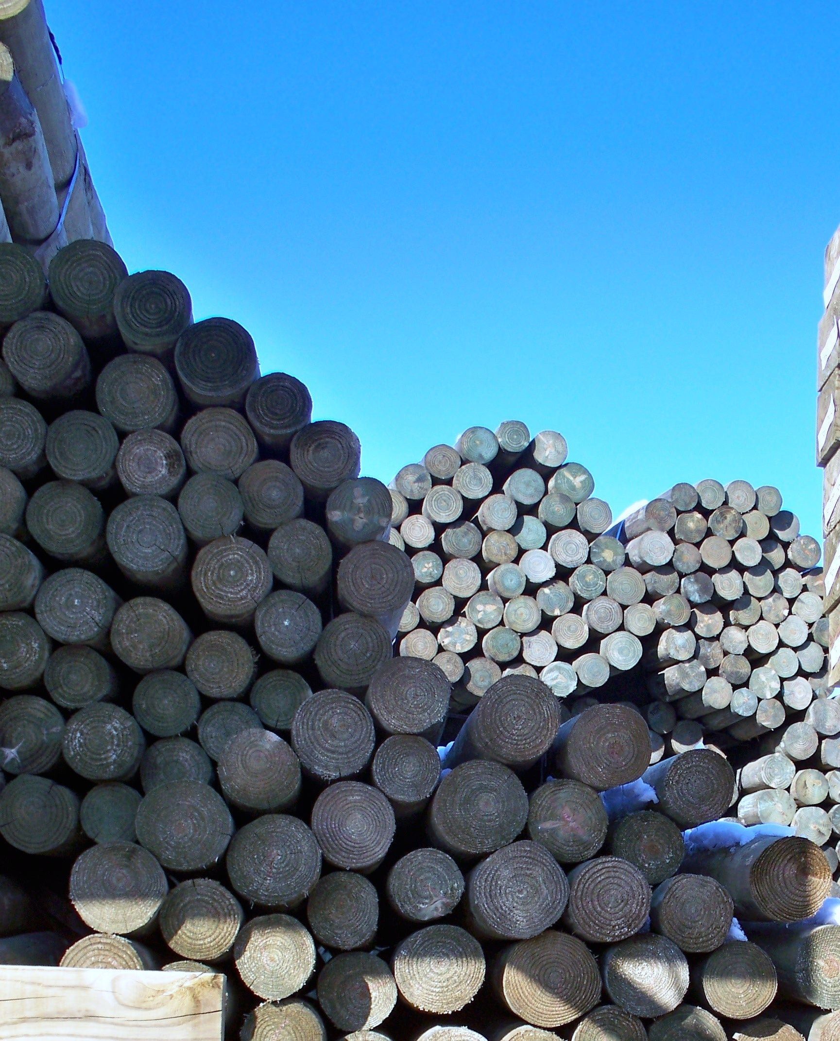 A pile of logs with a blue sky in the background