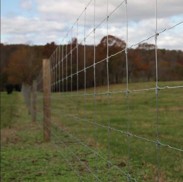 A barbed wire fence surrounds a grassy field