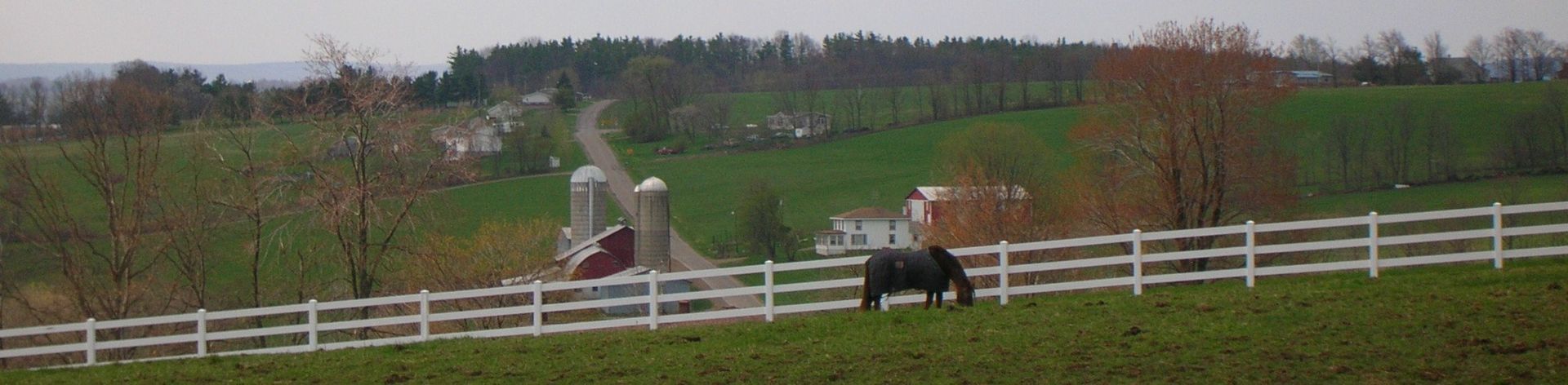 A horse is grazing in a field behind a white fence