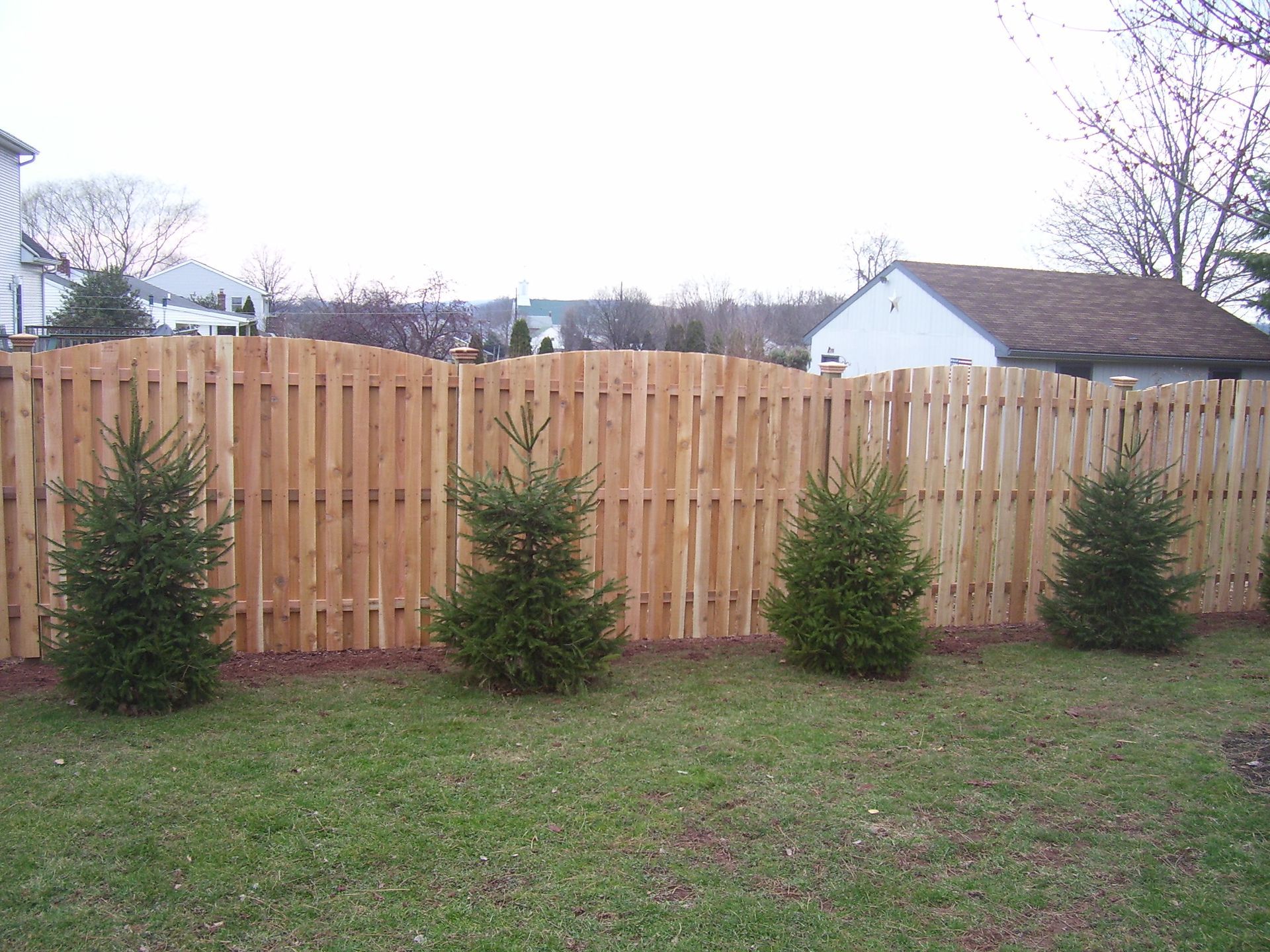 A wooden fence with a few trees in front of it