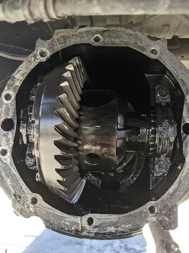 Open differential gear assembly inside a vehicle's axle housing, viewed from below.