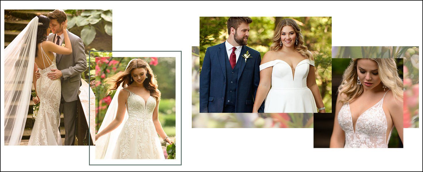 Wedding group picture