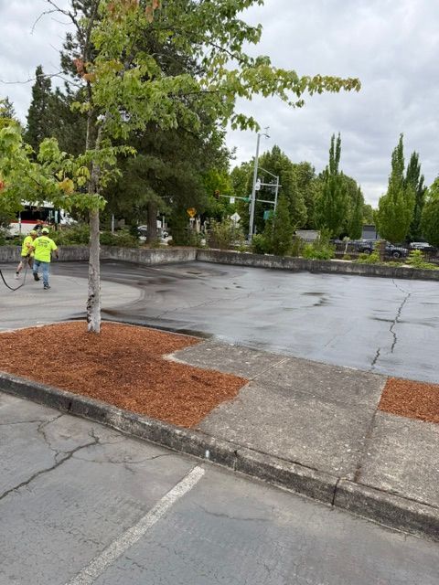 Wet parking lot with trees