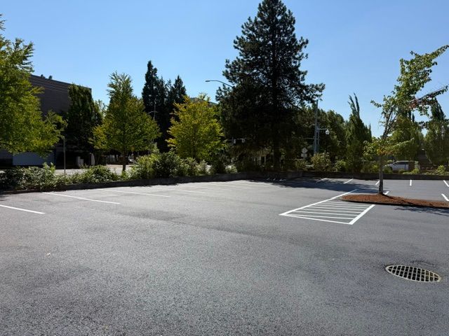 Empty sunlit parking lot with painted spaces, trees, and a building in the background