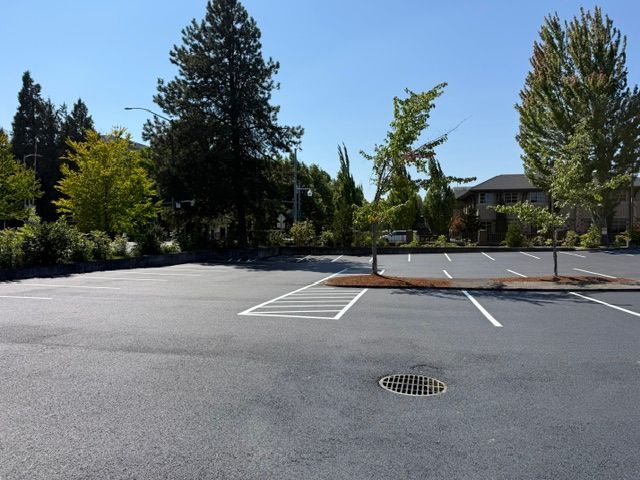 Empty parking lot with painted spaces, trees, and a clear blue sky