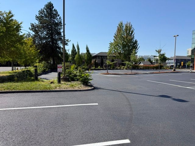 Empty parking lot with trees and a clear blue sky on a sunny day