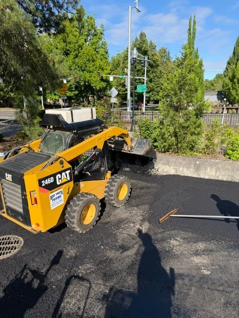 Yellow CAT skid steer parked on asphalt beside a curb with trees and bushes in the background.