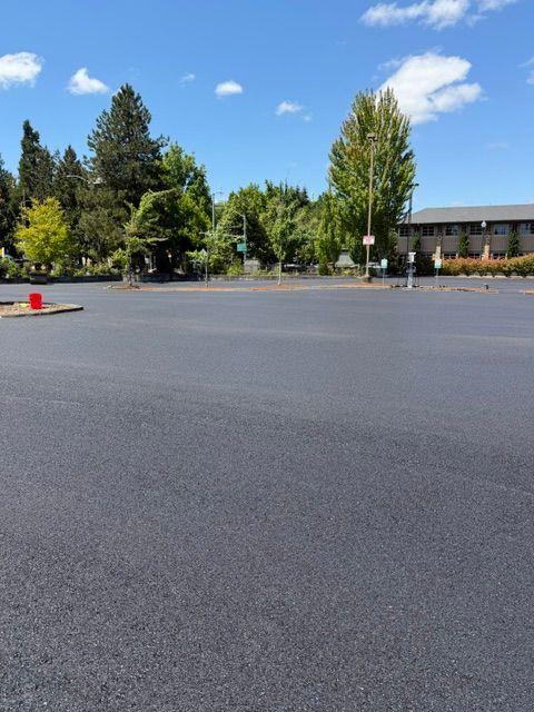 Empty parking lot beside trees and a building under a bright blue sky
