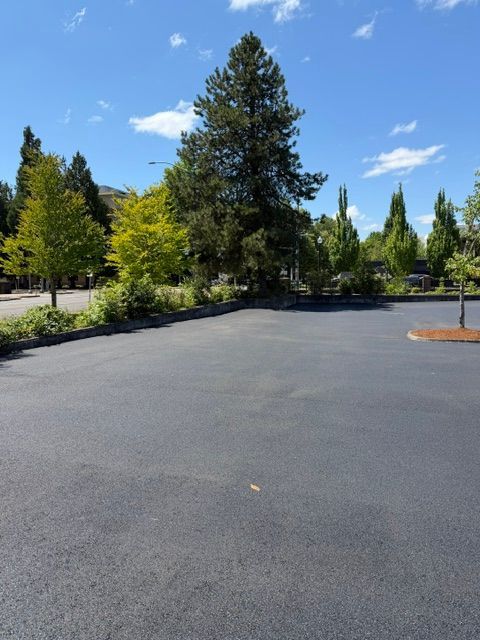 Empty paved parking lot beside trees under a bright blue sky