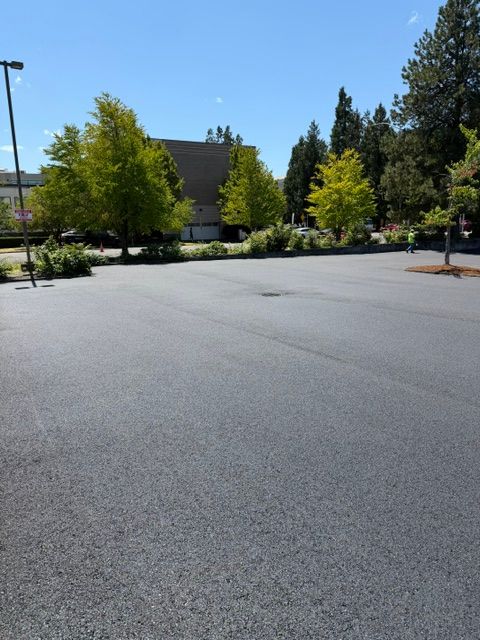 Empty parking lot with trees and a building under a clear blue sky