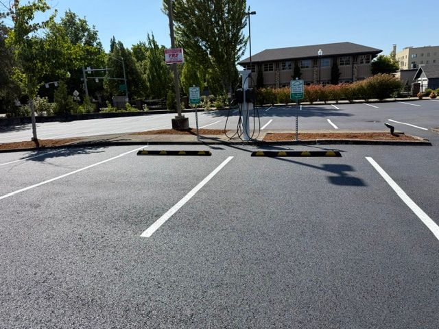 Empty parking lot with white-lined spaces, trees, and a building in the background under a clear sky