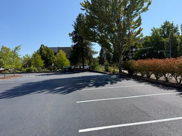 Empty parking lot lined with trees and shrubs under a clear blue sky