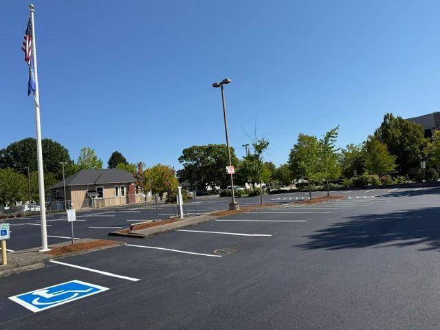 Empty accessible parking lot with blue handicap spaces and a flagpole under a clear sky