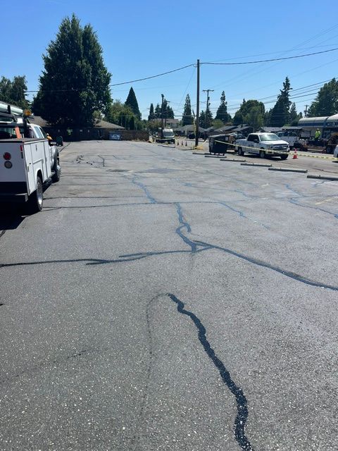 Cracked asphalt street with parked vehicles, tall trees, and houses under a clear blue sky